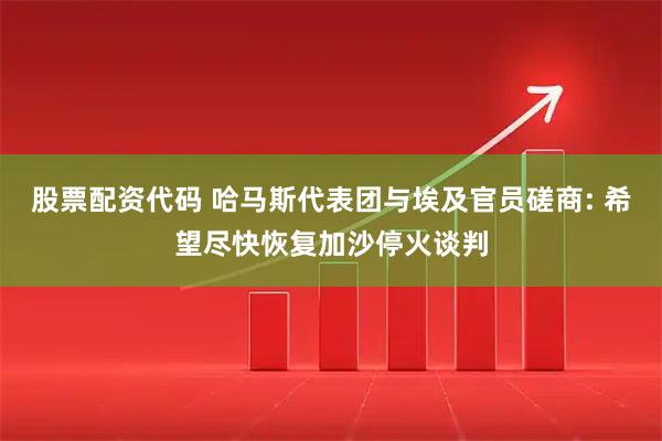 股票配资代码 哈马斯代表团与埃及官员磋商: 希望尽快恢复加沙停火谈判