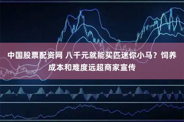 中国股票配资网 八千元就能买匹迷你小马？饲养成本和难度远超商家宣传